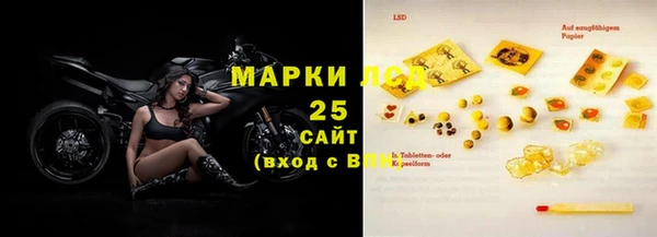 PSILOCYBIN Магас