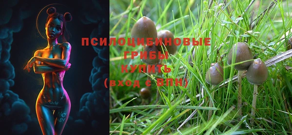 PSILOCYBIN Магас