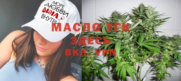 сатива Магадан