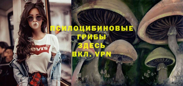 сатива Магадан