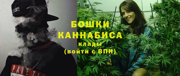сатива Магадан