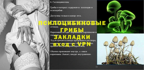 PSILOCYBIN Магас