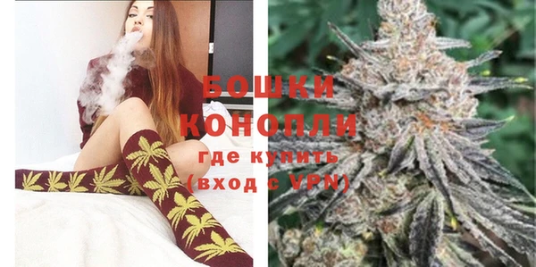 PSILOCYBIN Магас
