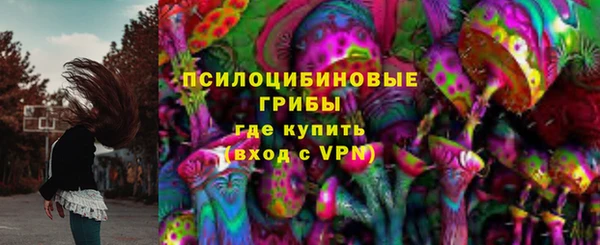 PSILOCYBIN Магас