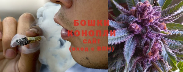 PSILOCYBIN Магас